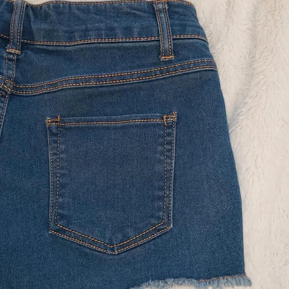 (Final price) No Boundaries Denim Shorts - Picture 9 of 12